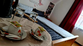 Pension Transilvania
